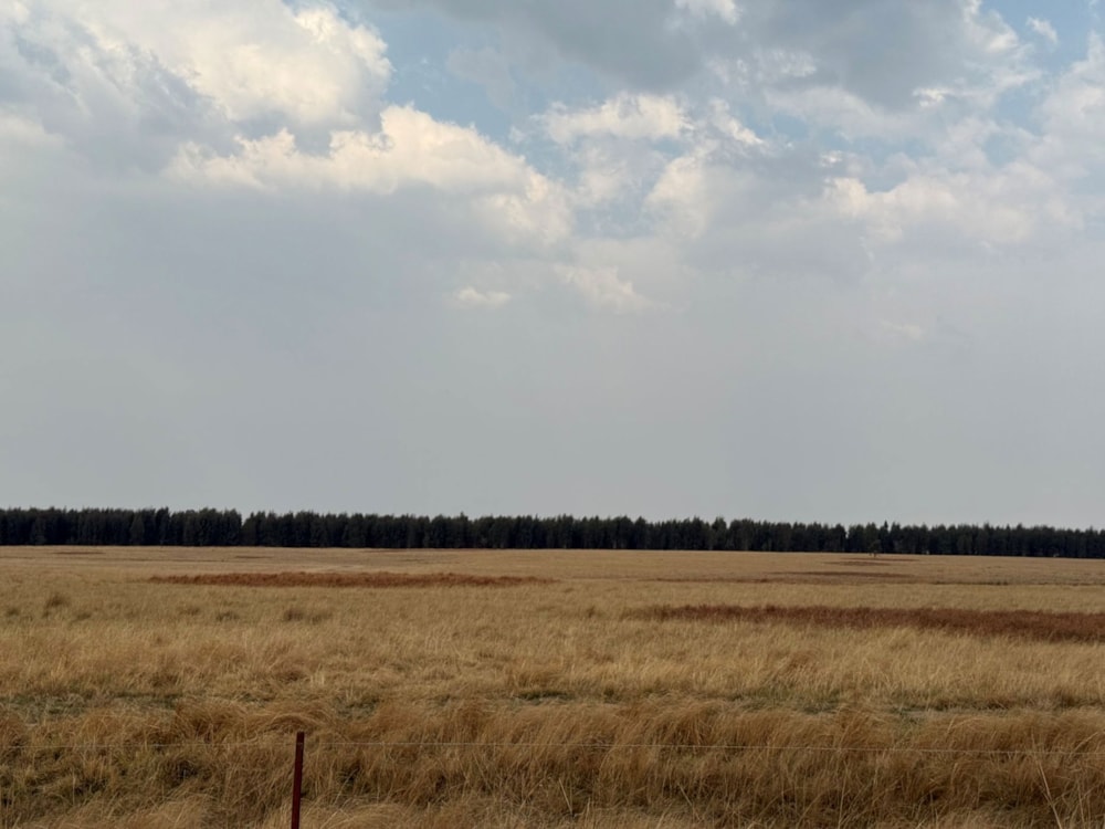 Mixed use farm for sale in Lothair - 1EM1713973