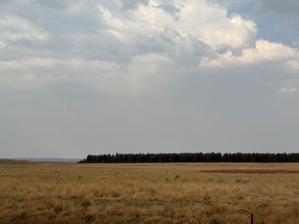 Mixed use farm for sale in Lothair - 1EM1713973