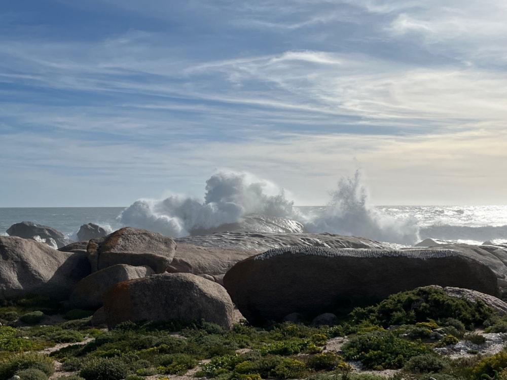 Residential vacant land for sale in Hondeklip Bay, Northern Cape - 1NA1714029 Residential vacant land for sale in Hondeklip Bay, Northern Cape - 1NA1714029
