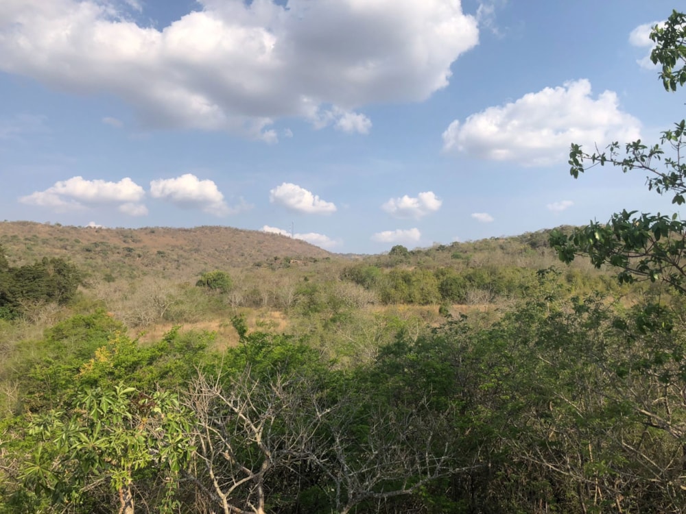 Smallholding for sale in Mbombela Rural (Nelspruit Rural) - 1NS1714233