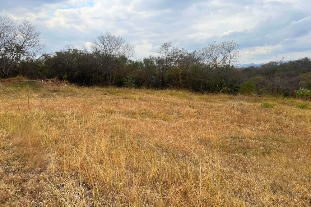 Residential vacant land for sale in Kamagugu - 1NS1714168 Residential vacant land for sale in Kamagugu - 1NS1714168