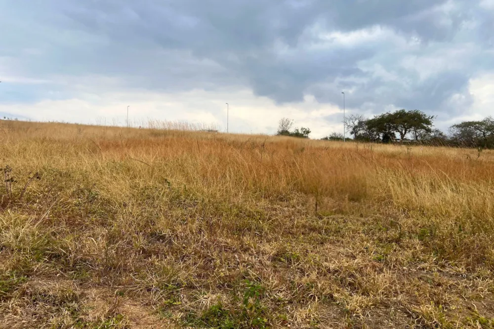 Residential vacant land for sale in Kamagugu - 1NS1714169 Residential vacant land for sale in Kamagugu - 1NS1714169