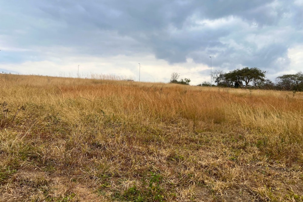 Residential vacant land for sale in Kamagugu - 1NS1714169