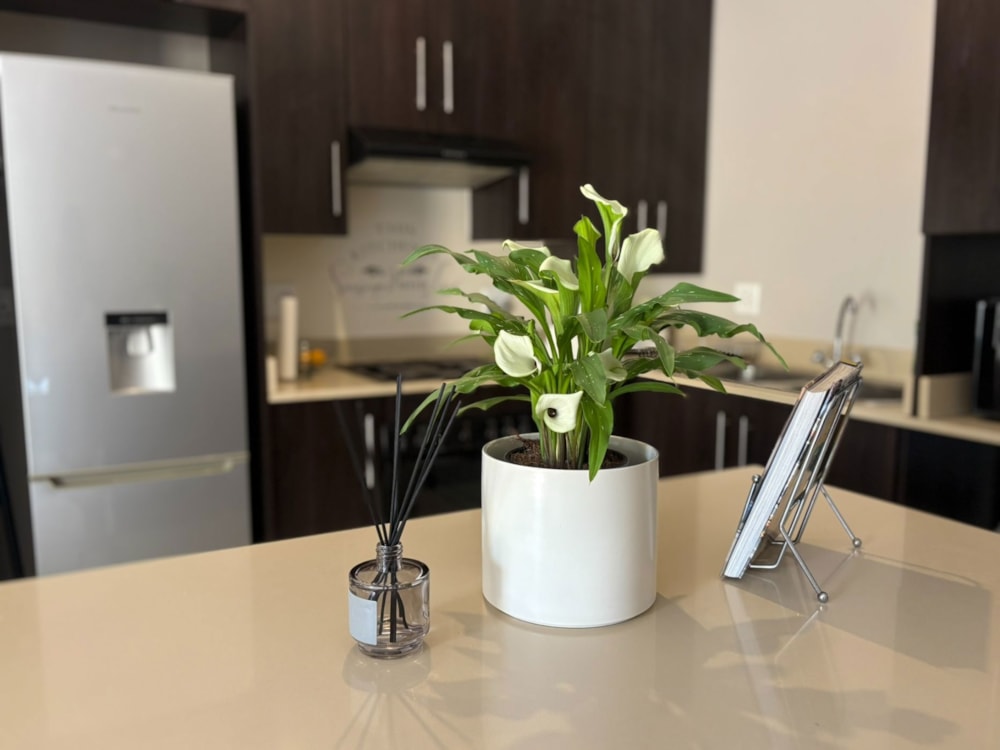 House for sale in Pretorius Park - PT1714267 House for sale in Pretorius Park - PT1714267