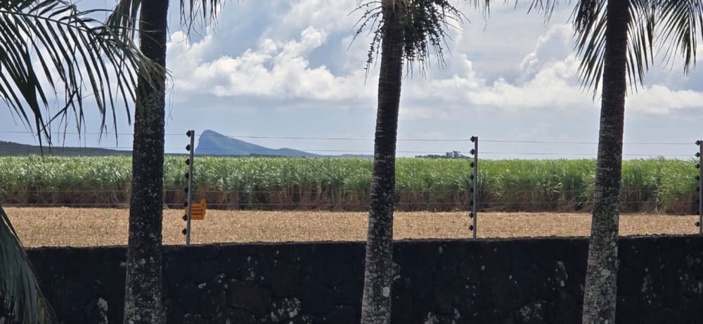 Vacant land for sale in Piton, Mauritius - MPR1714240