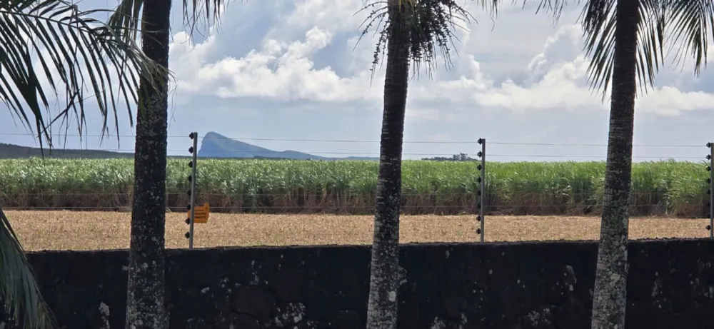 Vacant land for sale in Piton, Mauritius - MPR1714240 Vacant land for sale in Piton, Mauritius - MPR1714240