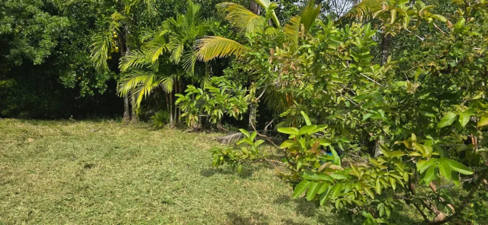 Vacant land for sale in Piton, Mauritius - MPR1714240 Vacant land for sale in Piton, Mauritius - MPR1714240
