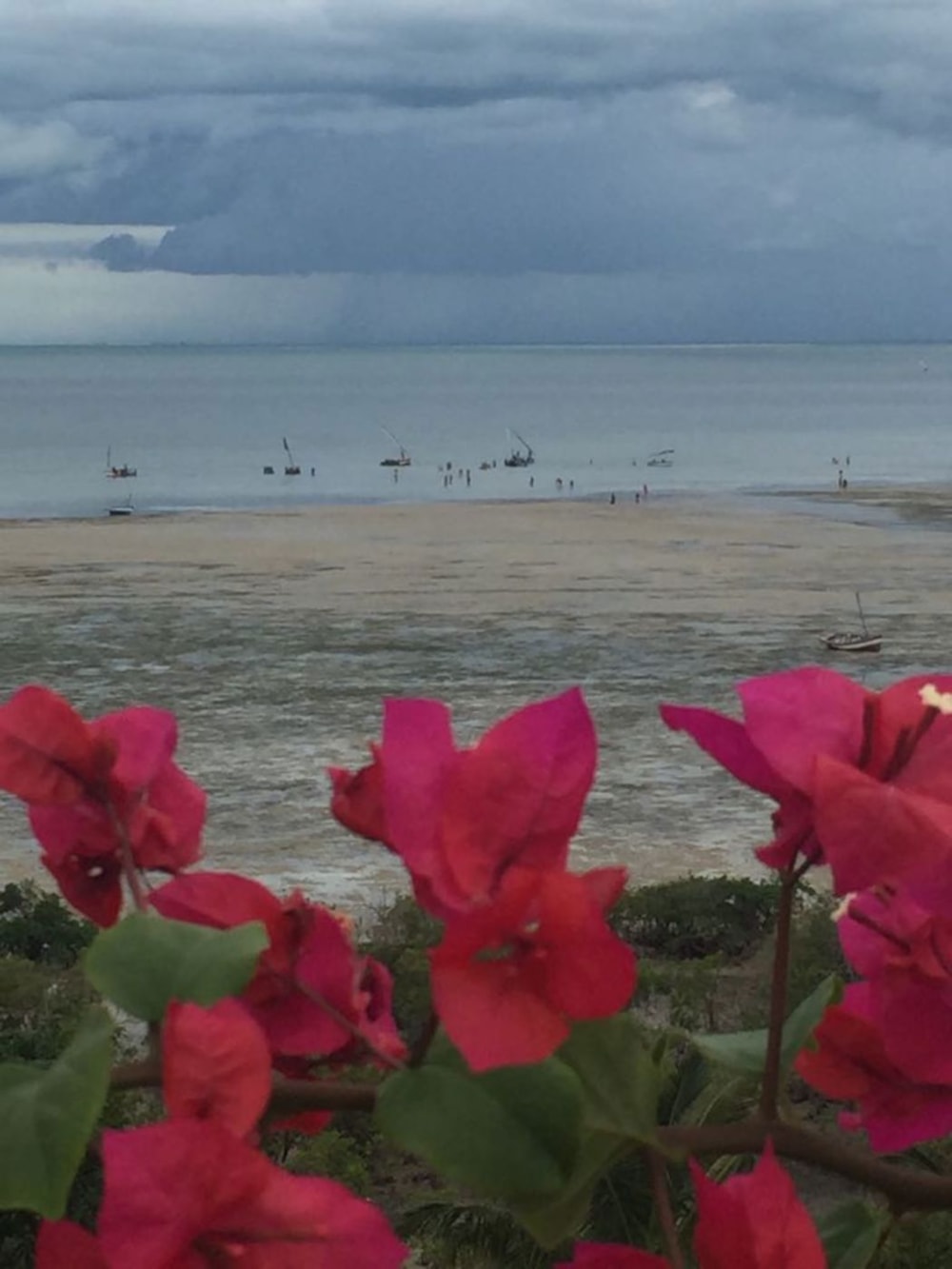 House for sale in Vilanculos, Mozambique - 3MQ1714285