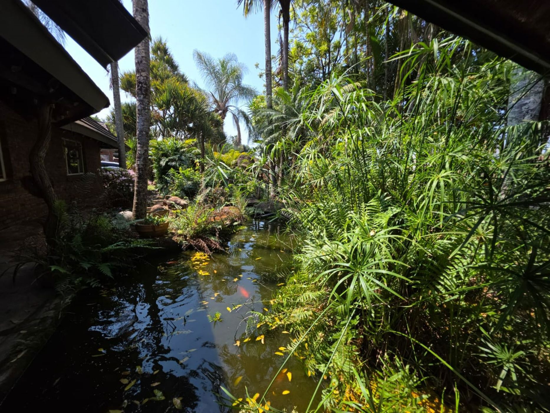 Double-storey house for sale in Aqua Park - 1TA1714290