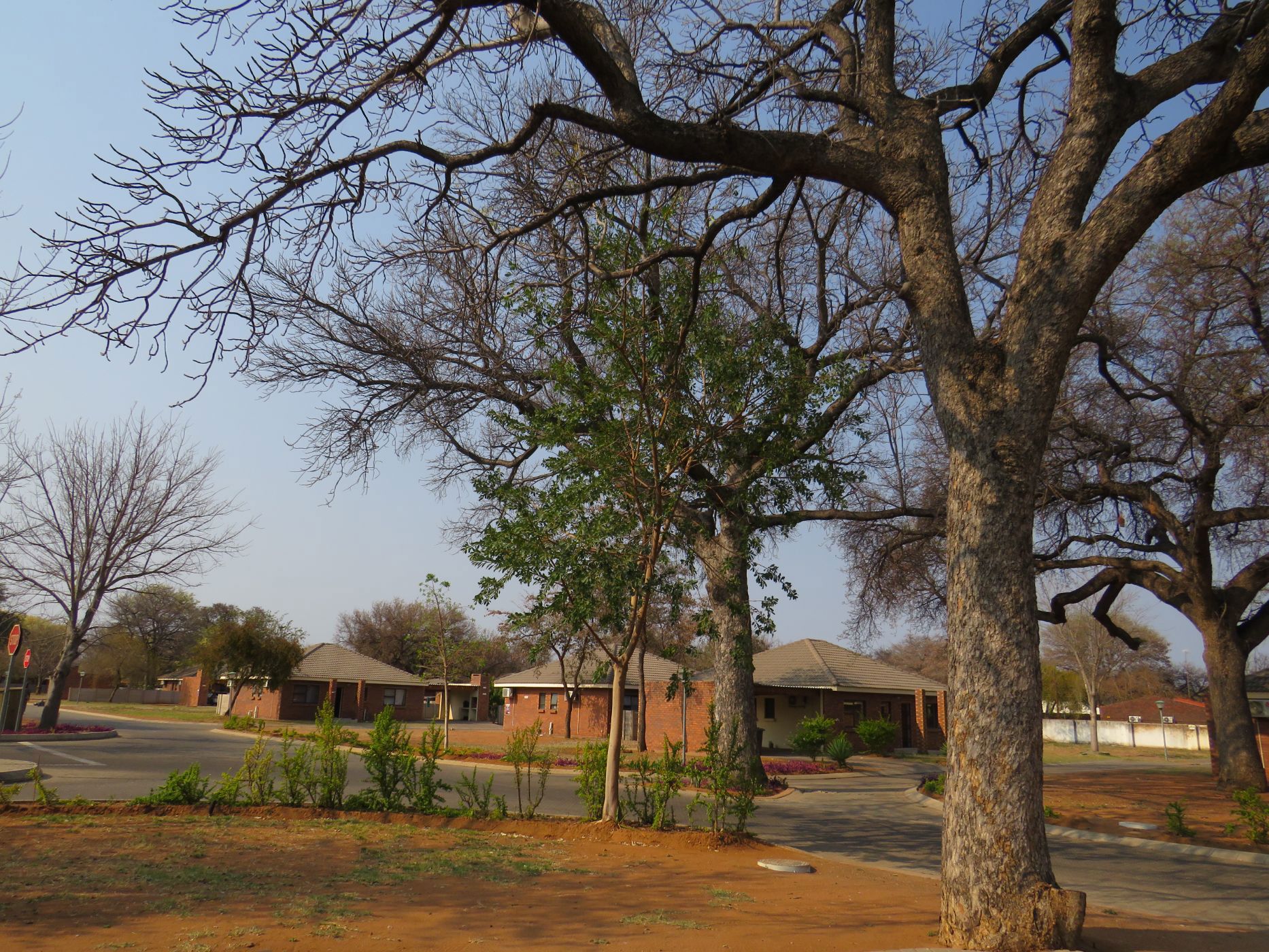 House for sale in Onverwacht, Limpopo Province - 1ER1714482