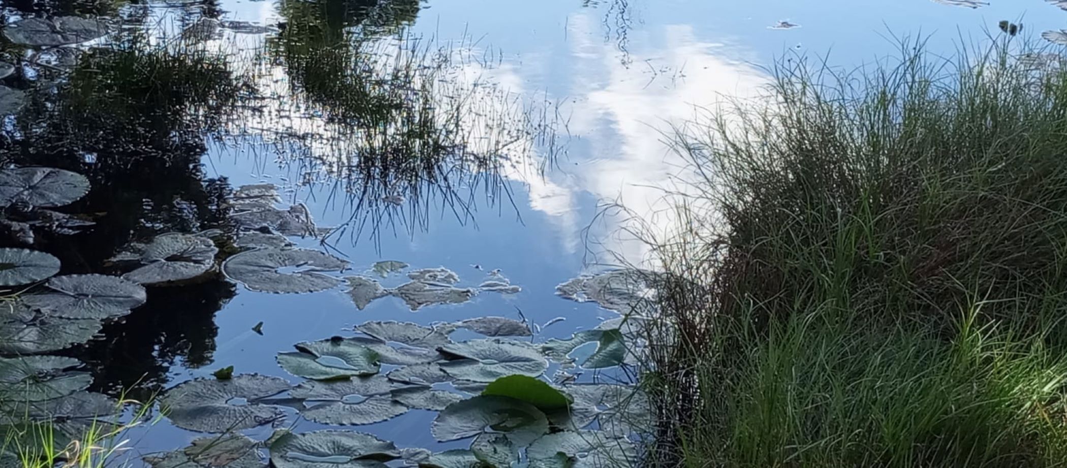 Vacant land for sale in Albertinia - 1SR1714562