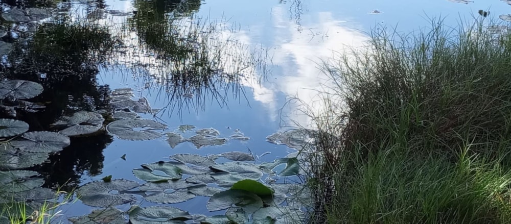 Vacant land for sale in Albertinia - 1SR1714562