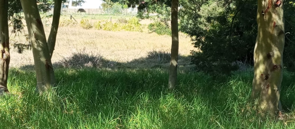 Vacant land for sale in Albertinia - 1SR1714562