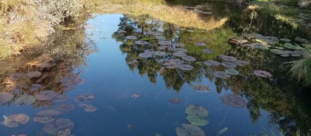 Vacant land for sale in Albertinia - 1SR1714562