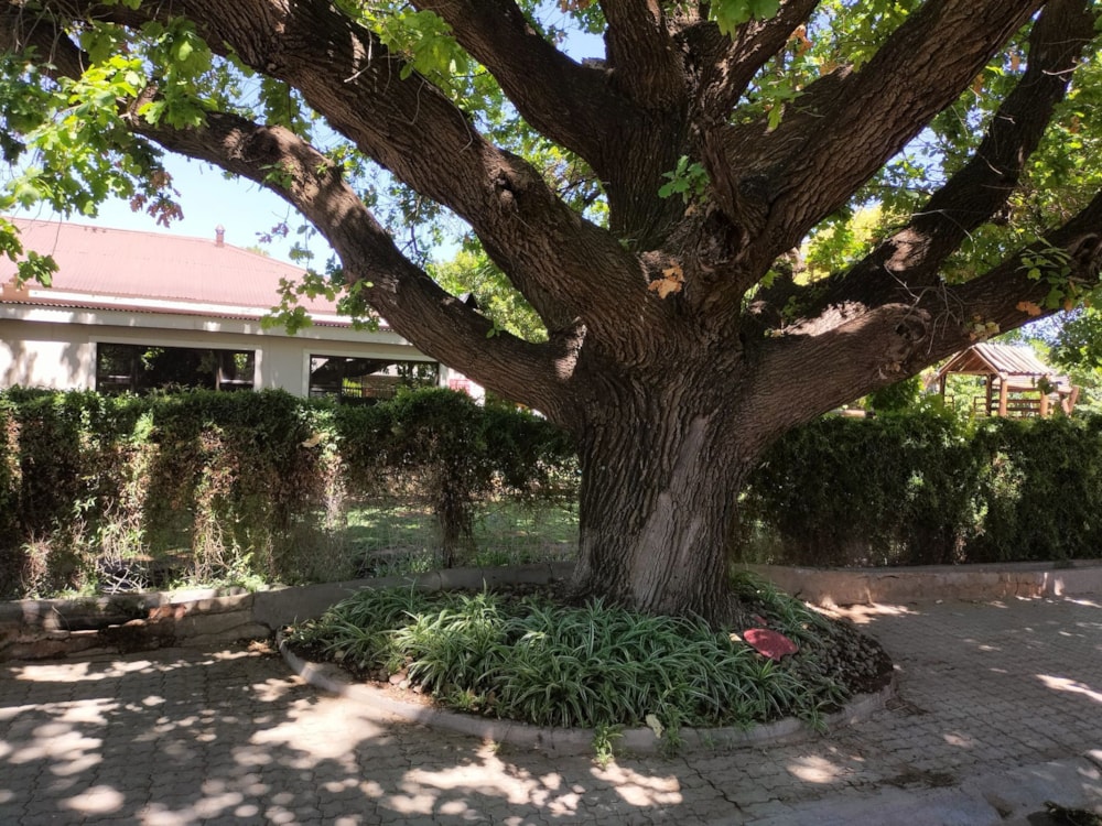 House let in Douglas - 1KJ1714598 House let in Douglas - 1KJ1714598