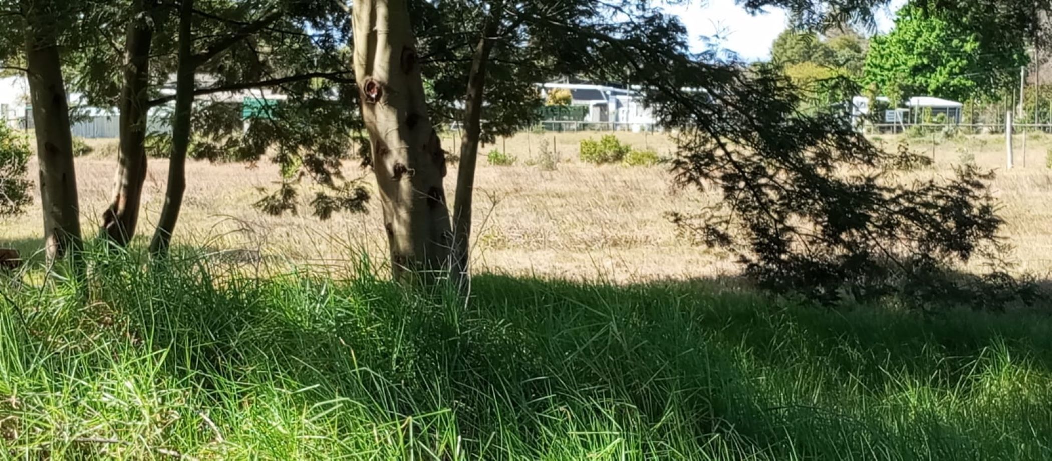 Vacant land for sale in Albertinia - 1SR1717019