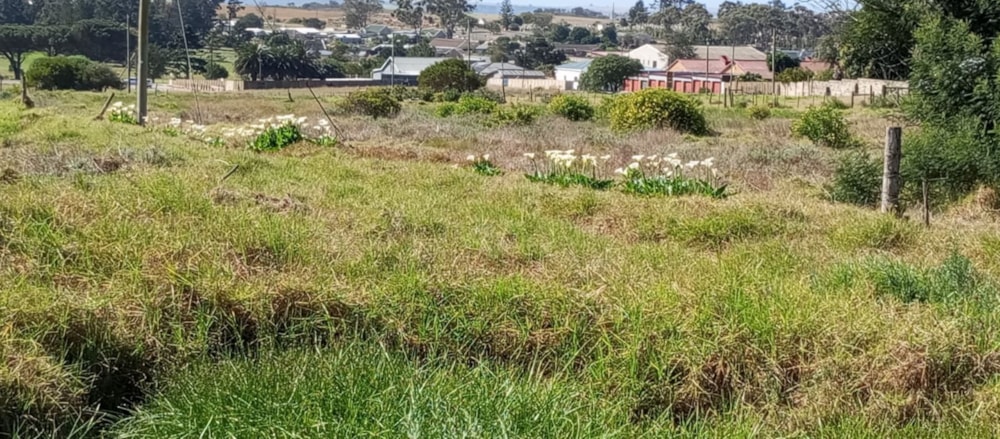 Vacant land for sale in Albertinia - 1SR1717019