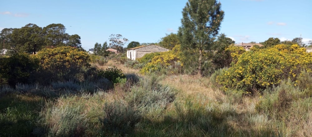 Vacant land for sale in Albertinia - 1SR1717019