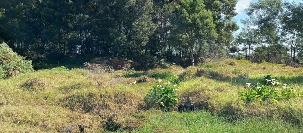 Vacant land for sale in Albertinia - 1SR1717019