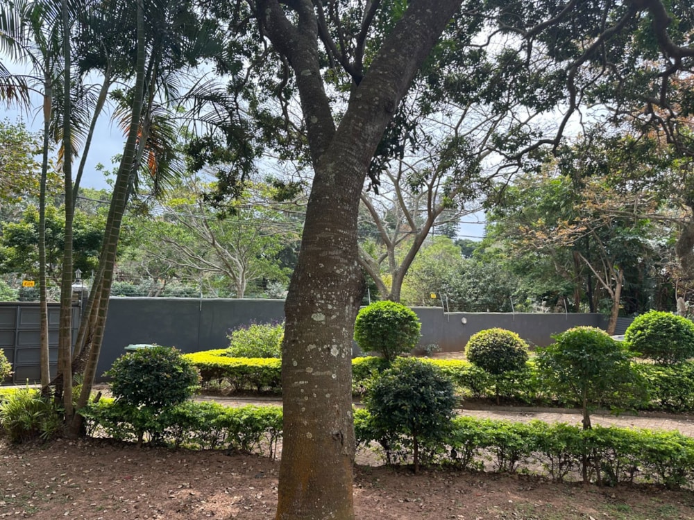 Single-storey house for sale in Southbroom - 1PD1714957