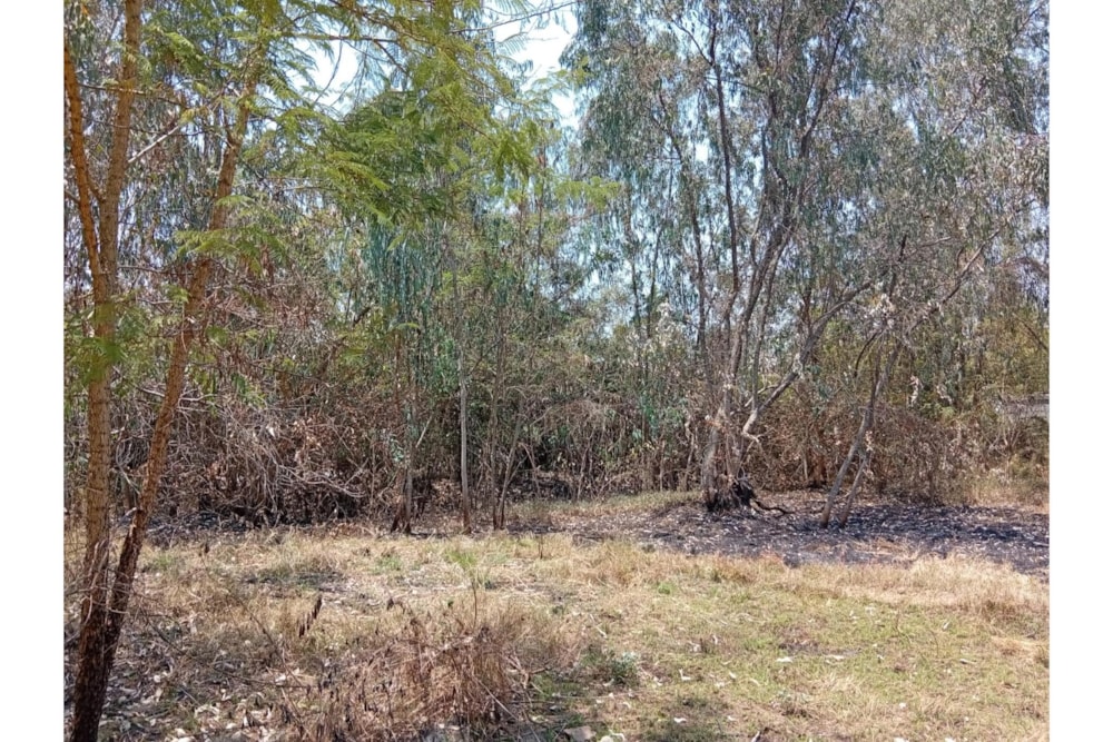 Residential vacant land for sale in Garden Estate, Kenya - 3KE1716049