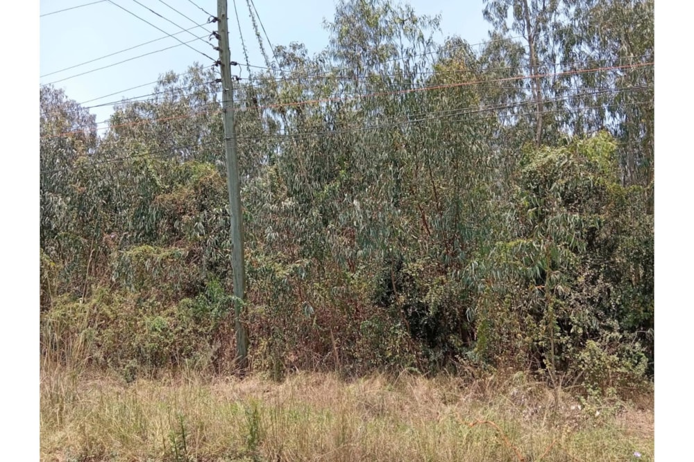 Residential vacant land for sale in Garden Estate, Kenya - 3KE1716049