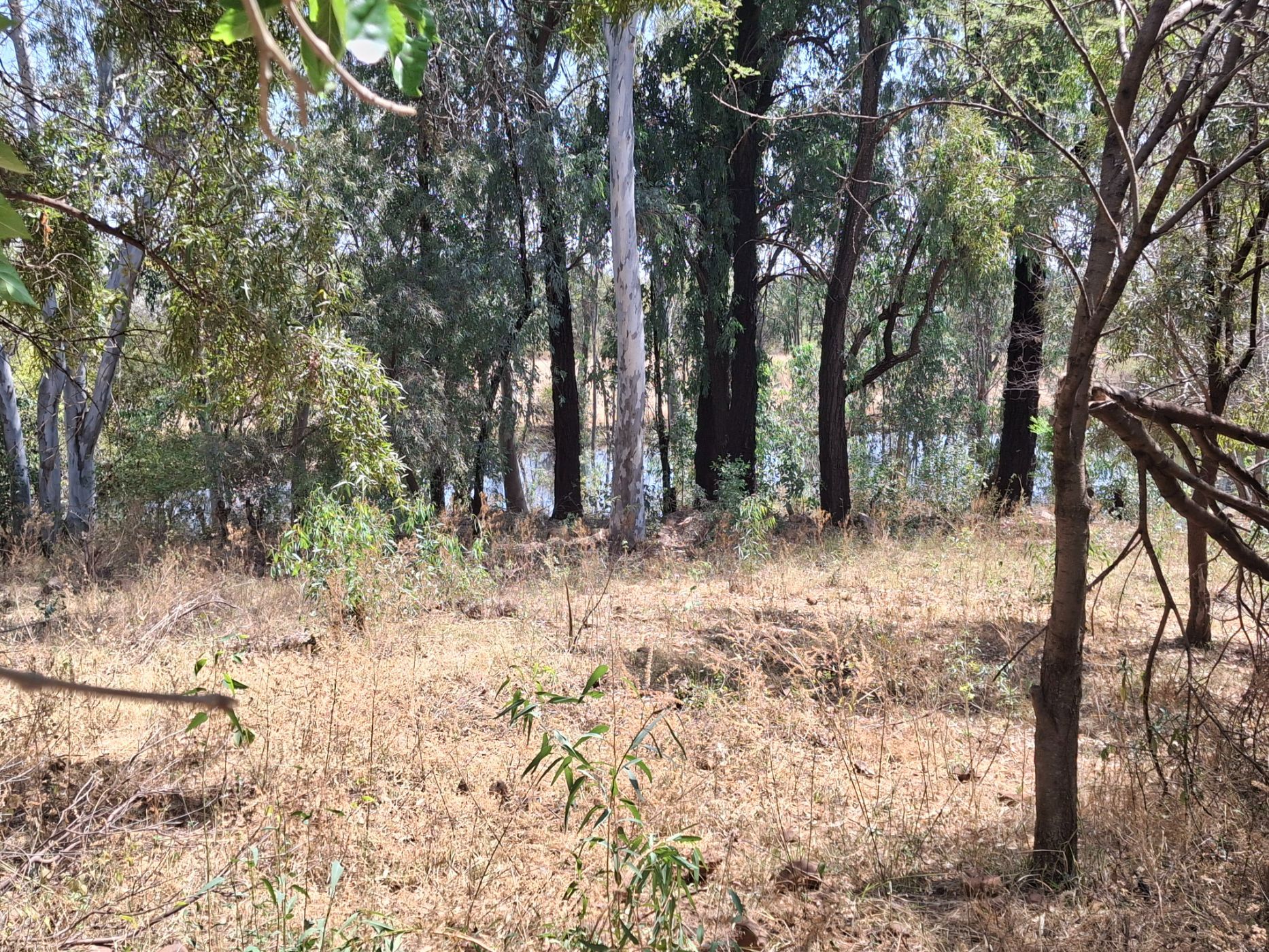 Mixed use farm for sale in Zeerust - 1RU1715038