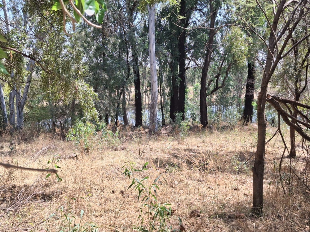 Mixed use farm for sale in Zeerust - 1RU1715038