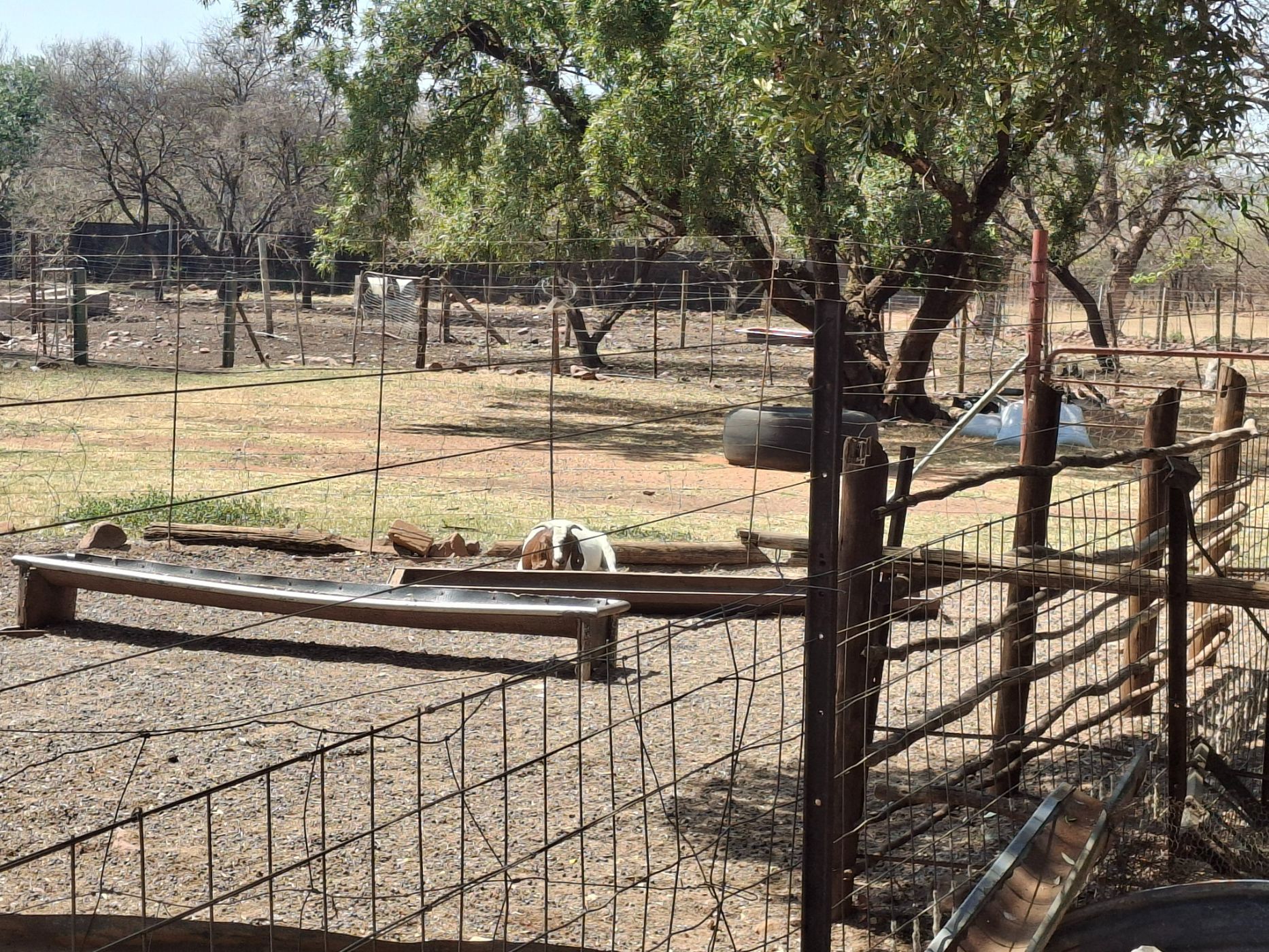 Mixed use farm for sale in Zeerust - 1RU1715038