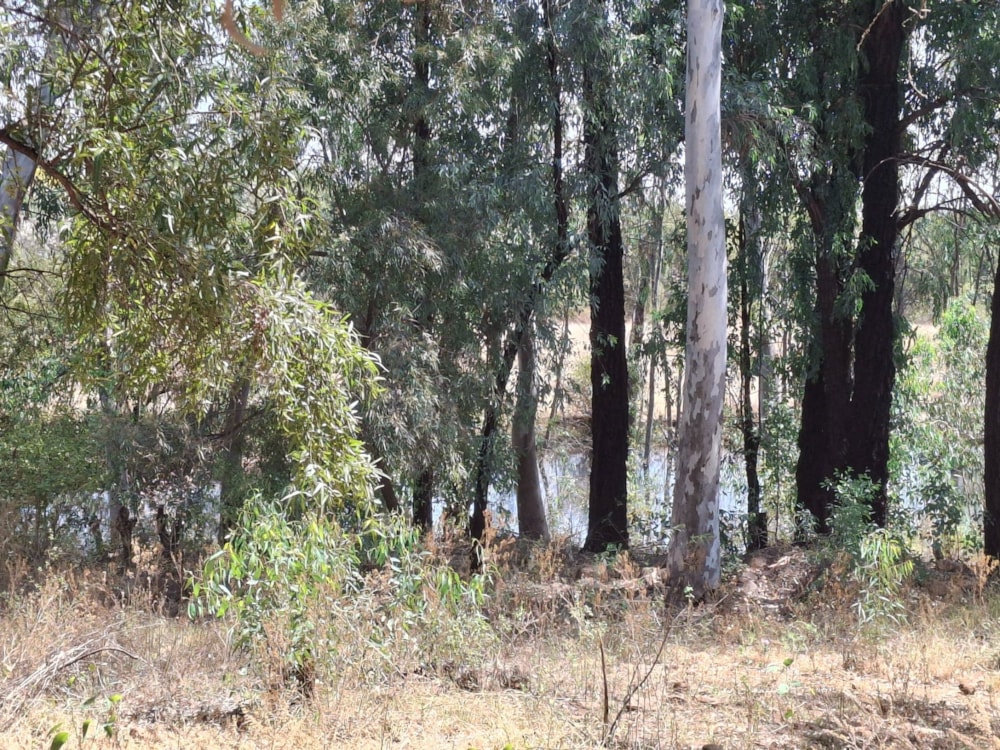 Mixed use farm for sale in Zeerust - 1RU1715038