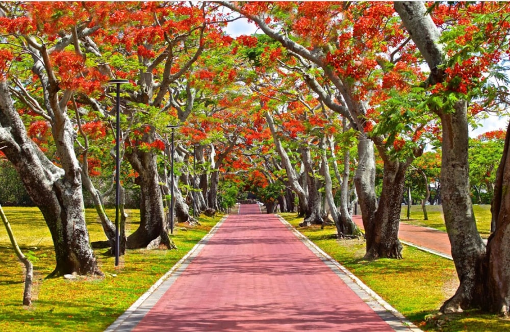 Apartment for sale in Mont Choisy Le Parc, Mauritius - MPR1715041