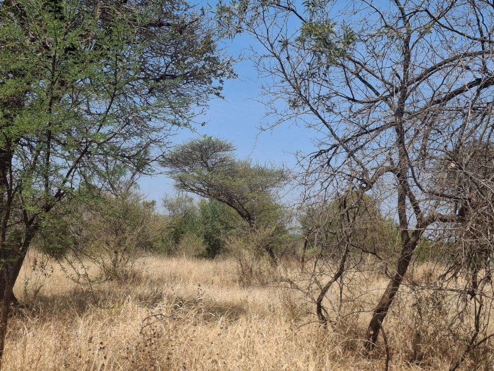 Livestock farm for sale in Zeerust - 1RU1715296