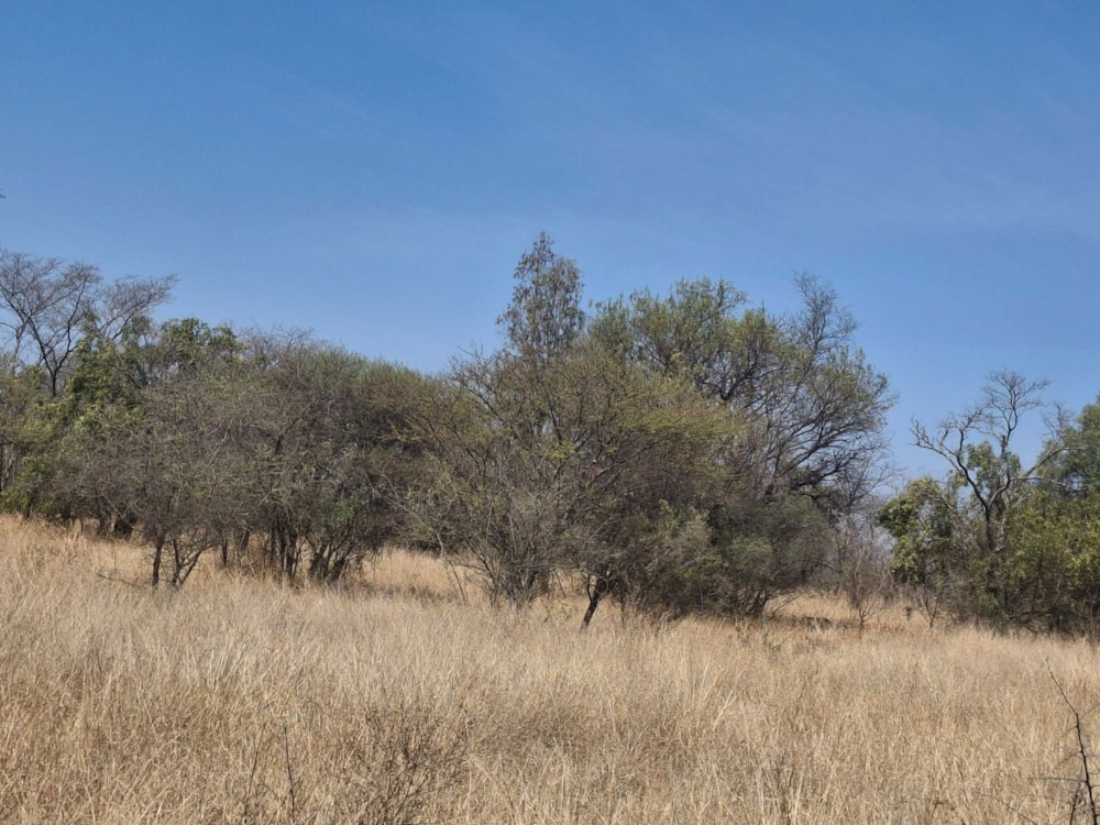 Livestock farm for sale in Zeerust - 1RU1715296 Livestock farm for sale in Zeerust - 1RU1715296