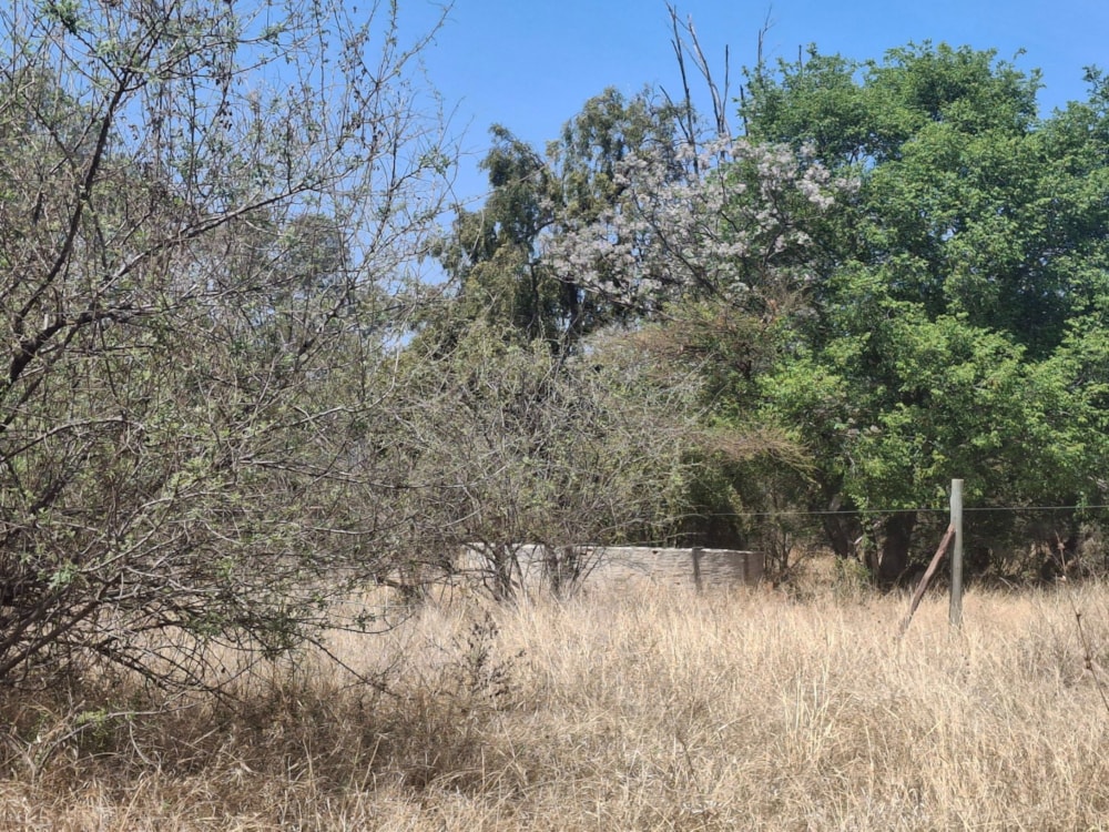 Livestock farm for sale in Zeerust - 1RU1715296 Livestock farm for sale in Zeerust - 1RU1715296