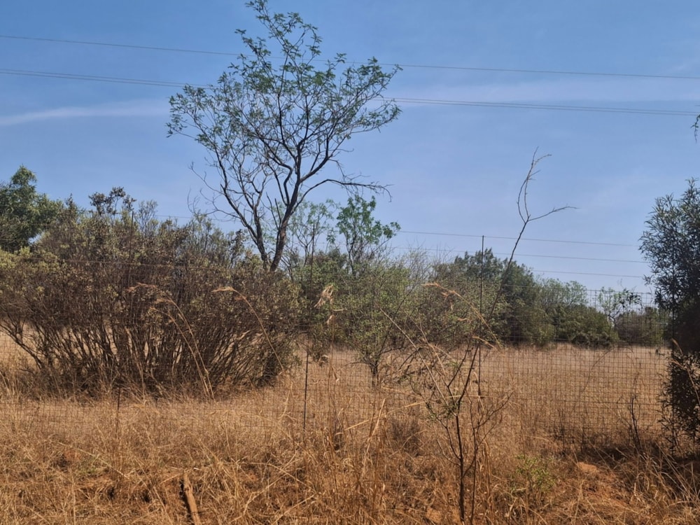 Livestock farm for sale in Zeerust - 1RU1715296 Livestock farm for sale in Zeerust - 1RU1715296