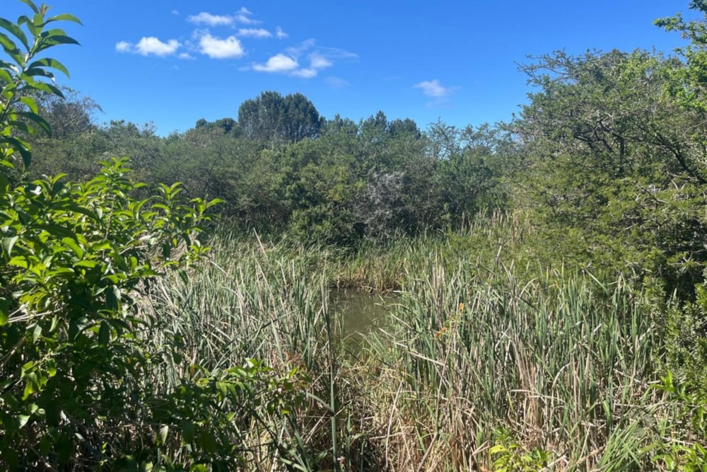 Vacant land for sale in Bathurst - 1PF1715151 Vacant land for sale in Bathurst - 1PF1715151