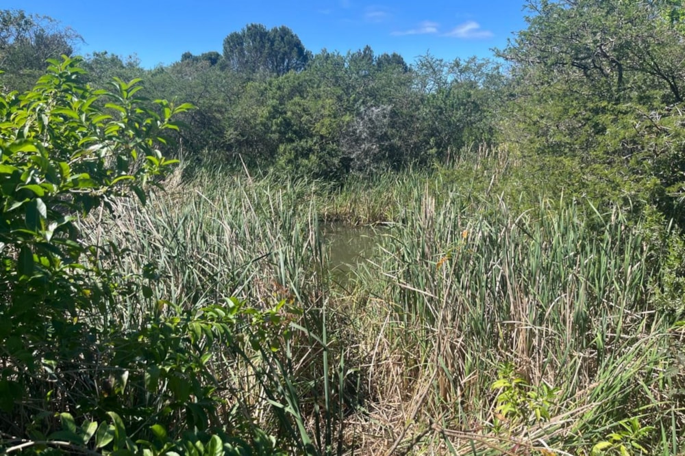 Vacant land for sale in Bathurst - 1PF1715187