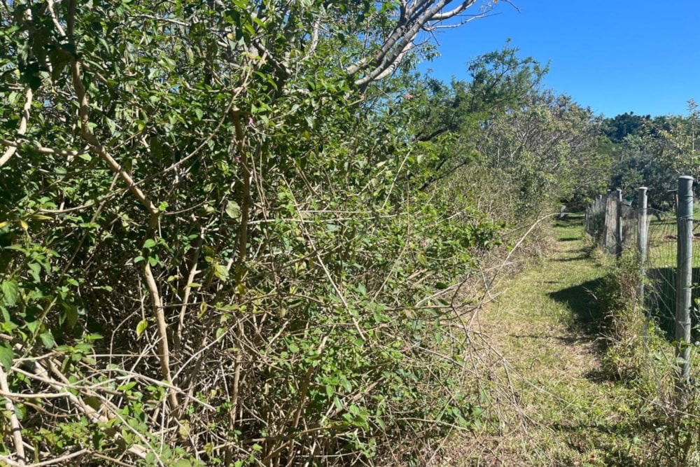 Vacant land for sale in Bathurst - 1PF1715187 Vacant land for sale in Bathurst - 1PF1715187