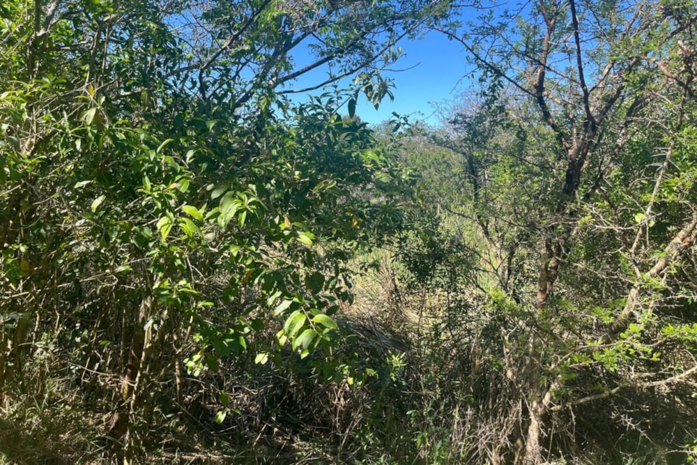 Vacant land for sale in Bathurst - 1PF1715187 Vacant land for sale in Bathurst - 1PF1715187