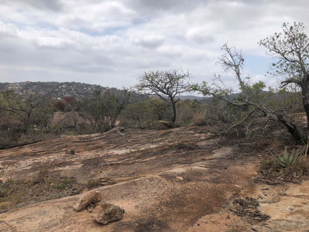 House for sale in Ntulo Wildlife Estate - 1NS1715717