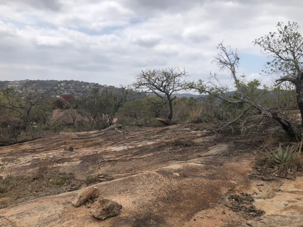 House for sale in Ntulo Wildlife Estate - 1NS1715717 House for sale in Ntulo Wildlife Estate - 1NS1715717