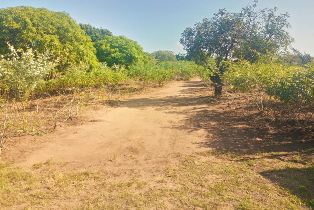 Vacant land for investment in Catembe, Mozambique - 3MQ1715269 Vacant land for investment in Catembe, Mozambique - 3MQ1715269