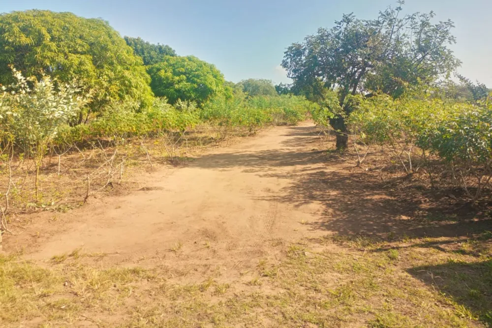 Vacant land for investment in Catembe, Mozambique - 3MQ1715269 Vacant land for investment in Catembe, Mozambique - 3MQ1715269