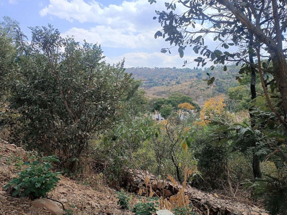 Residential vacant land for sale in Shawasha Hills, Zimbabwe - 3ZB1715329