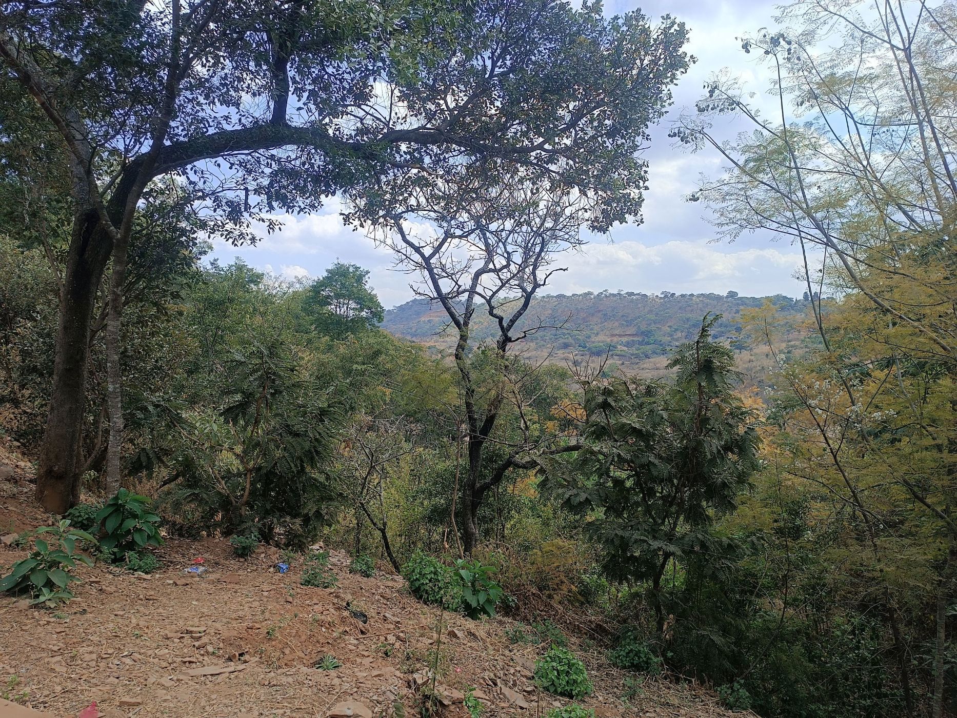 Residential vacant land for sale in Shawasha Hills, Zimbabwe - 3ZB1715329