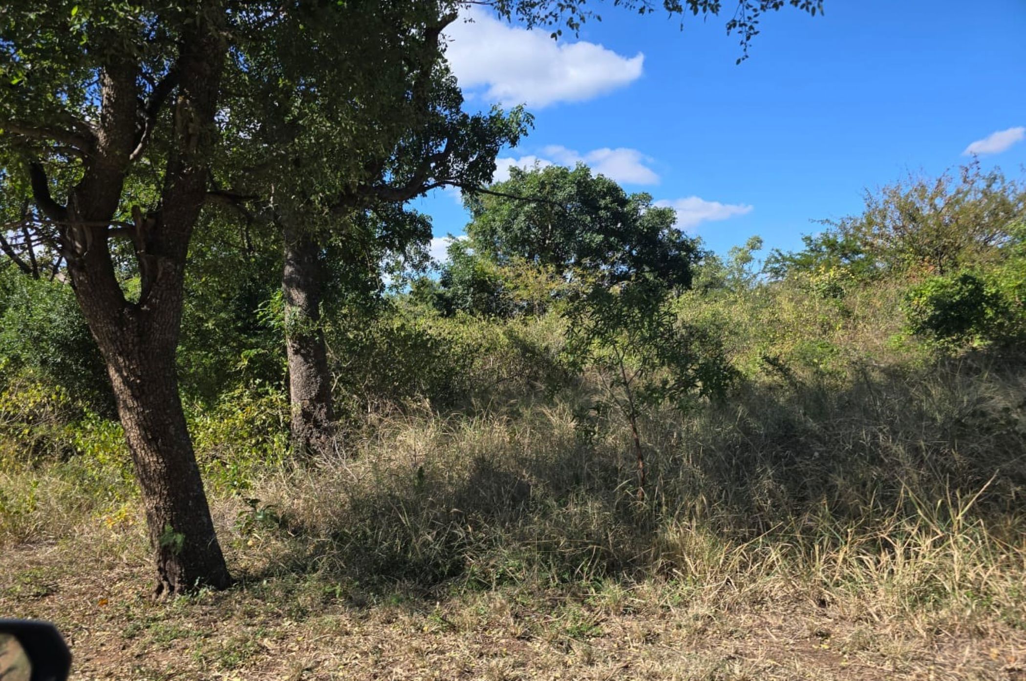 Vacant land for sale in Kampersrus - 1HS1715412