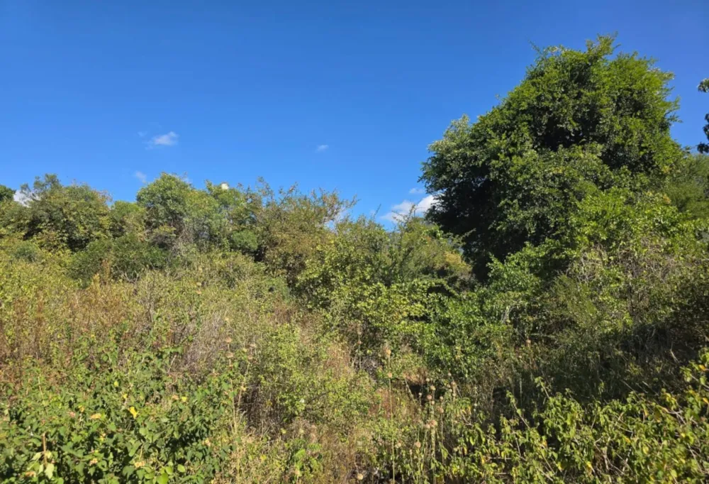 Vacant land for sale in Kampersrus - 1HS1715412