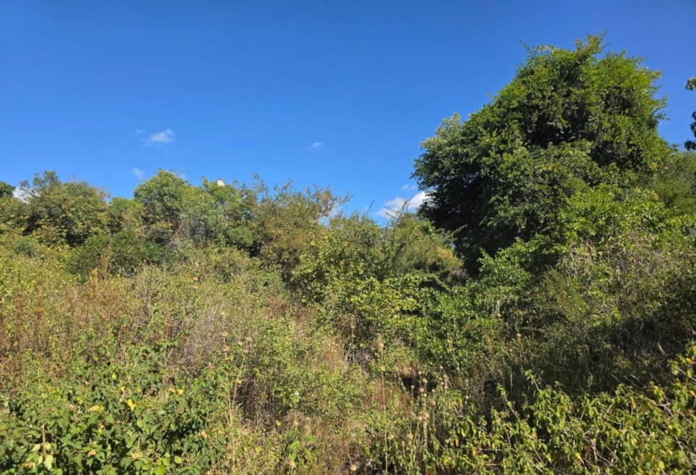 Vacant land for sale in Kampersrus - 1HS1715412