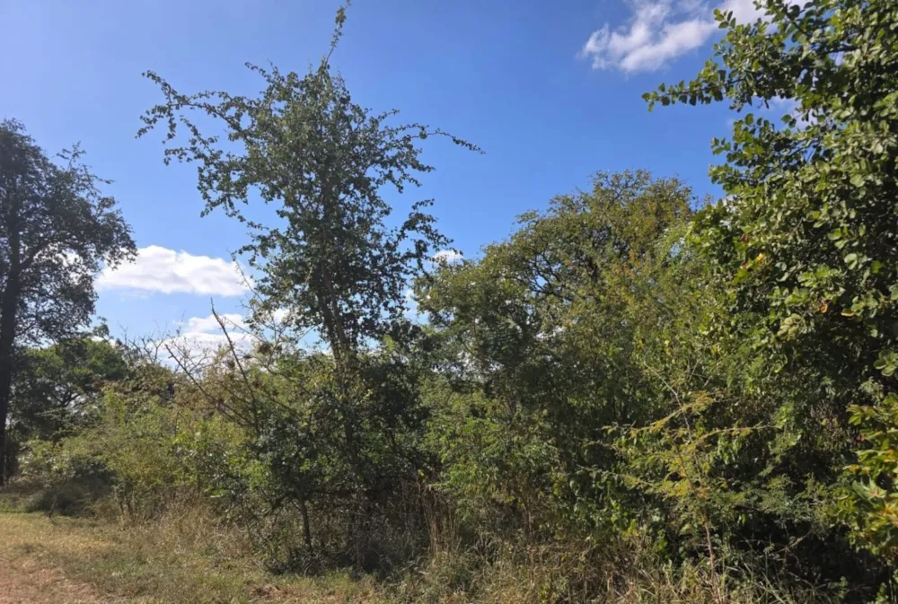 Vacant land for sale in Kampersrus - 1HS1715412