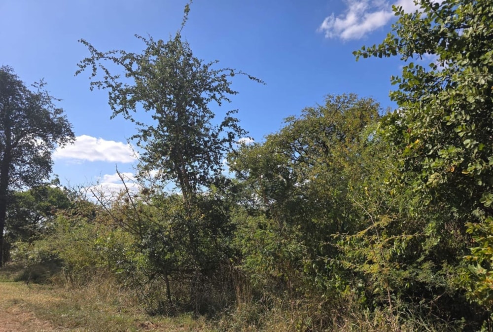 Vacant land for sale in Kampersrus - 1HS1715412